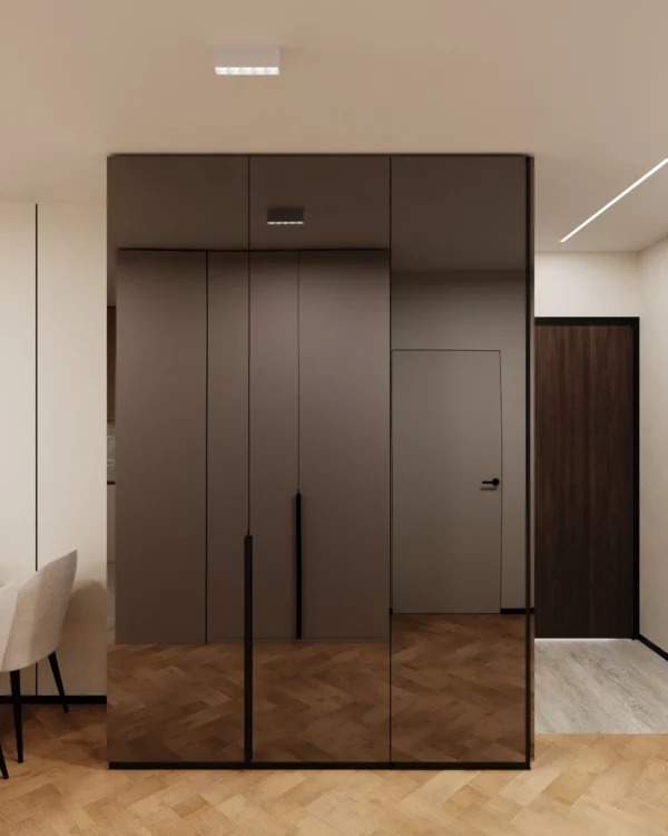 Graphite mirror wardrobe acting as a partition between the hall and the living room